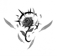 Горячие инопланетяни, разные оборотни, 18+,  похищение,  неземная любовь 📖 Отредактированы, переведены и бесплатные