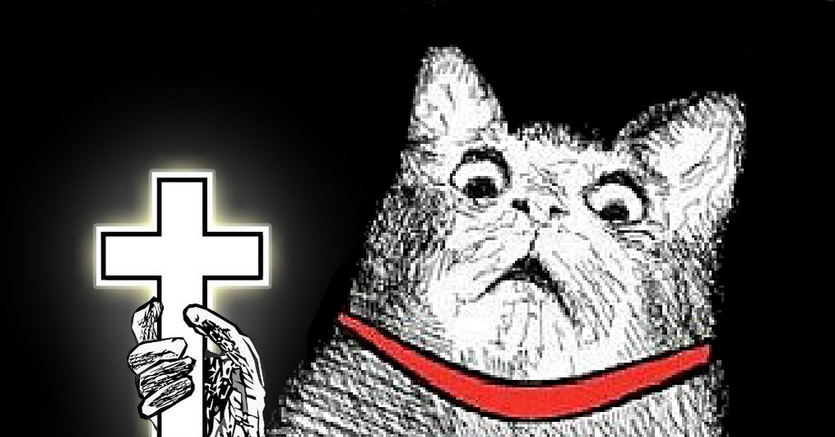 Ой св. Кот с крестом. Котик с крестом. Испуганный кот с крестом. Кот с крестом Мем.